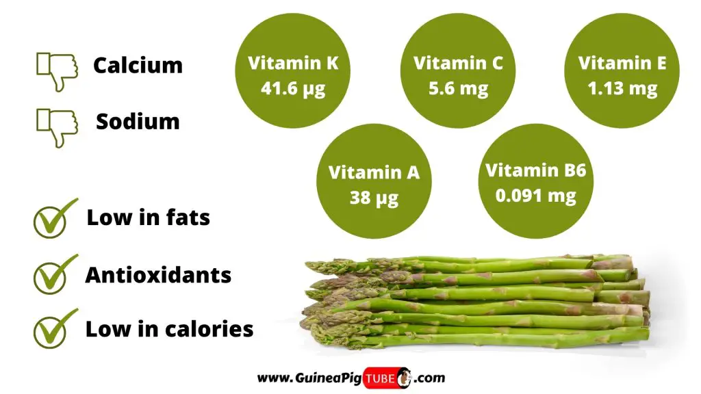 Informações nutricionais dos espargos para Porcos da Guiné