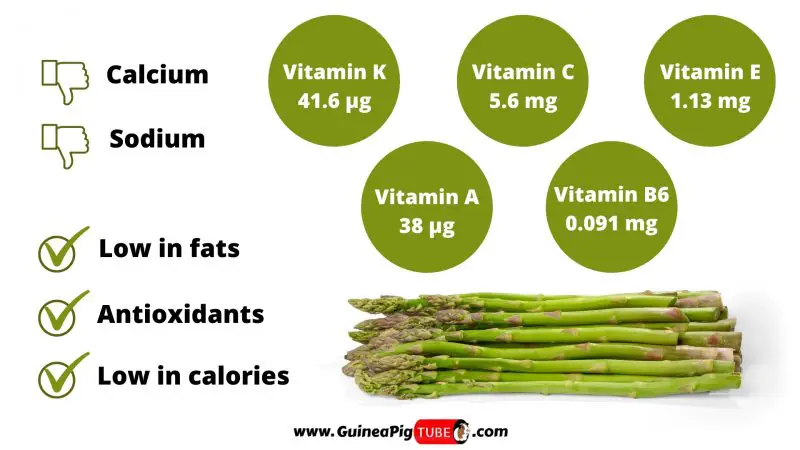 Can Guinea Pigs Eat Asparagus? (Benefits, Risks, Serving Size & More ...