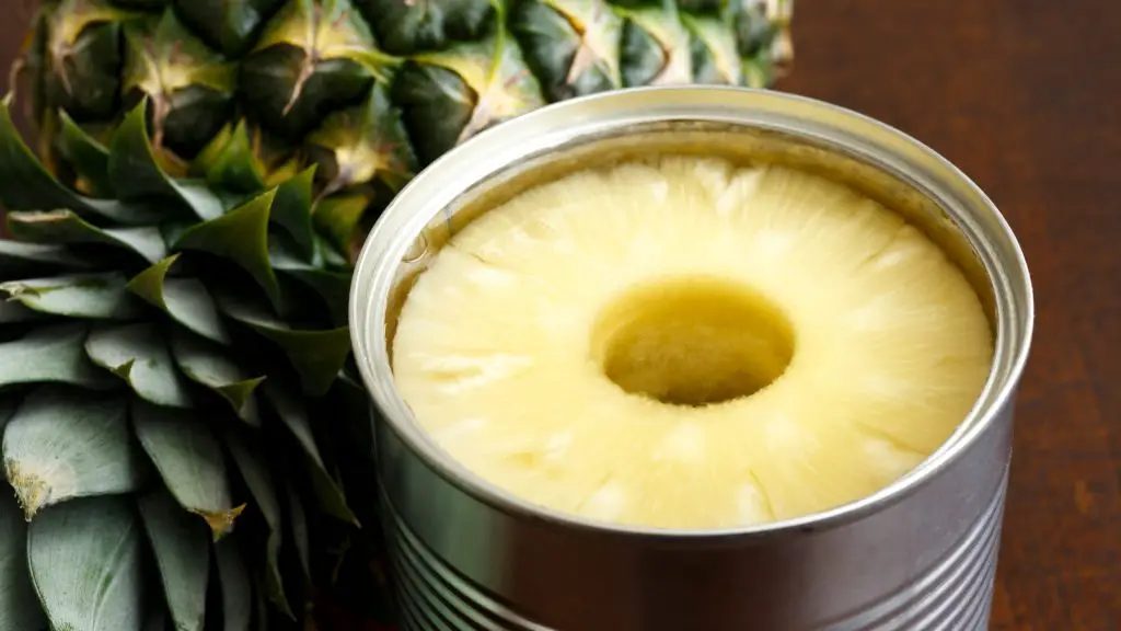 Le cavie possono mangiare ananas in scatola